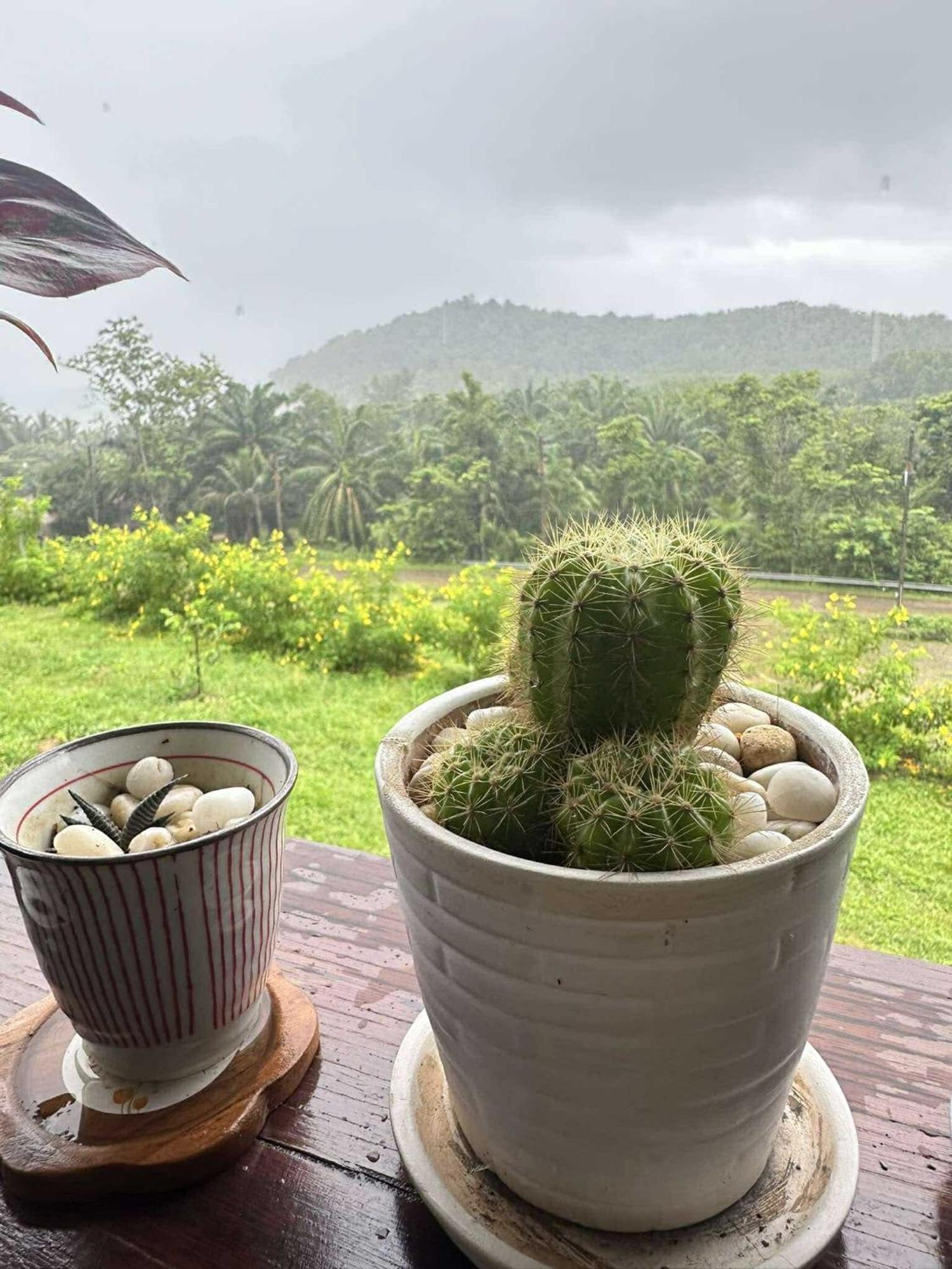 บ้านสวนปิยนันท์ Ko Yao Noi Exteriér fotografie